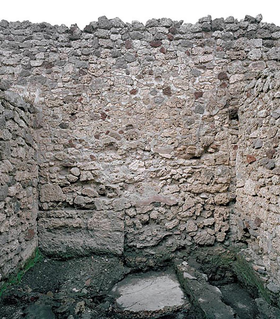 V.1.11 Pompeii. c.2005-7? Room “x”, north wall. Photo by Hans Thorwid.
Photo courtesy of The Swedish Pompeii Project.