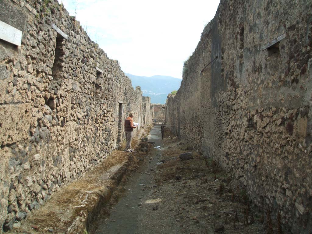 V.2 Pompeii, on left. May 2005. Vicolo di Cecilio Giocondo, looking south. Side wall of V.1.11, on right.