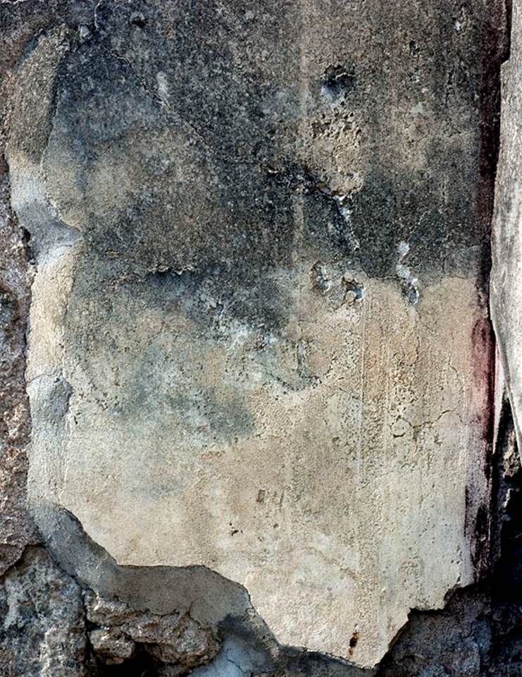 V.1.15 Pompeii. c.2006?
Detail of plaster with traces of remaining decoration on north wall of cubiculum. Photo by Hans Thorwid.
Photo courtesy of the Swedish Pompeii Project.