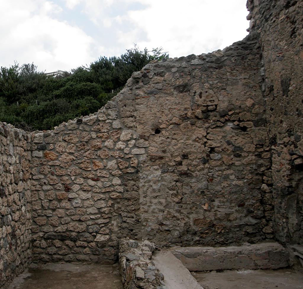 V.1.15 Pompeii. 2012.
North wall in 2012, with the viridarium cleared. On the right is a low bench. Photo by Henrik Boman.
Photo courtesy of the Swedish Pompeii Project.