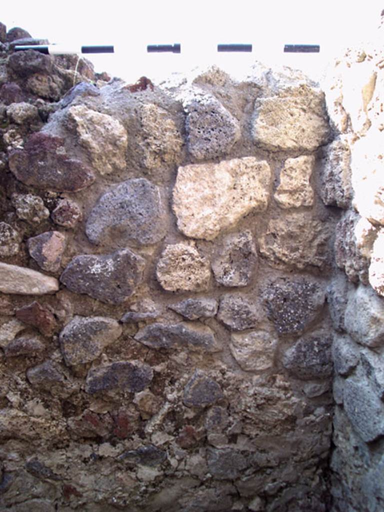 V.1.15 Pompeii. September 2009.
West wall in north-west corner of kitchen. Photo courtesy of Jared Benton.
