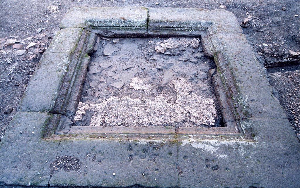 V.1.15 Pompeii. c.2006. Impluvium in atrium, looking north. Photo by Henrik Boman.
Impluvium in atrium, with “the preserved area of cocciopesto visible after heavy rain. Seen from south”.
Photo and words courtesy of the Swedish Pompeii Project.