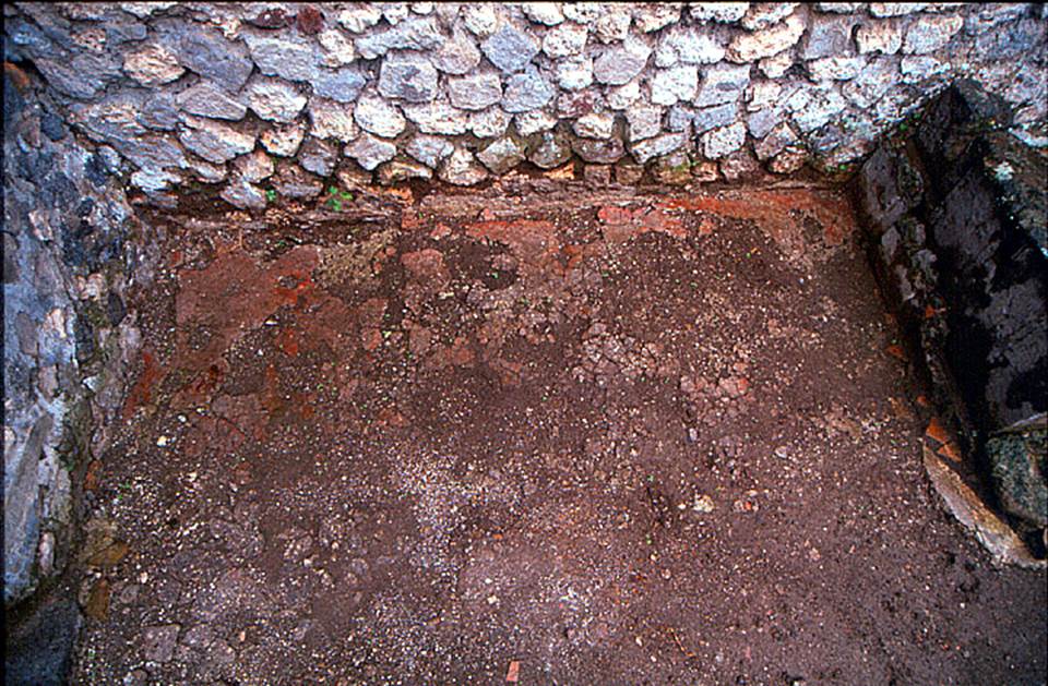 V.1.15 Pompeii. c.2006-8.
Cocciopesto floor with red surface preserved in east corner of atrium. Photo by Henrik Boman.
Photo courtesy of the Swedish Pompeii Project.