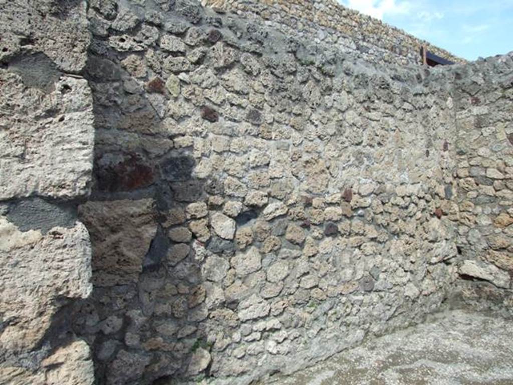 V.1.19 Pompeii. March 2009. North wall.