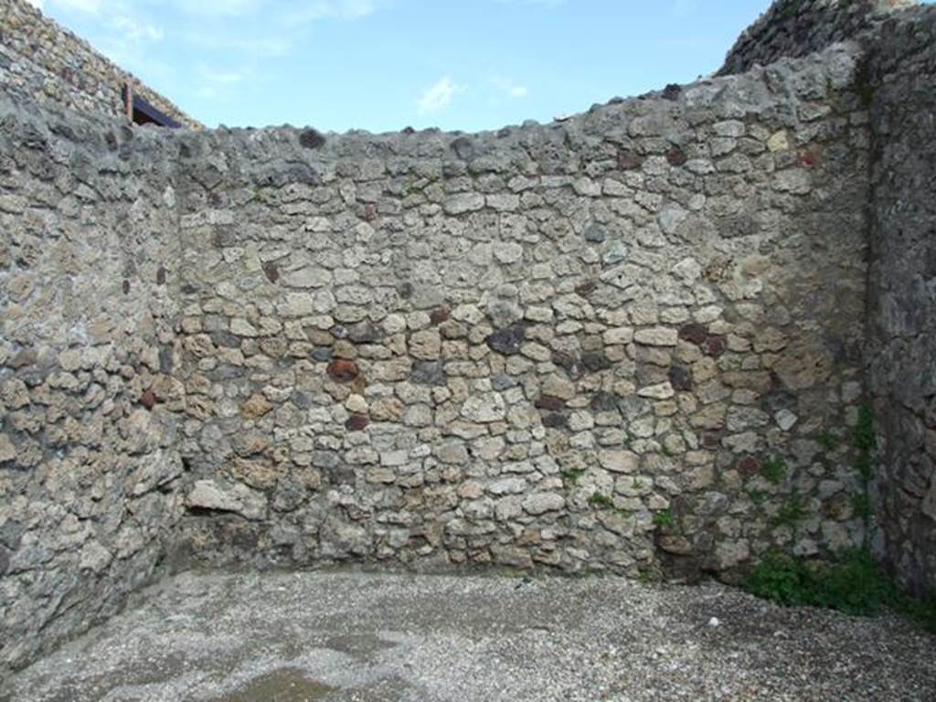 V.1.19 Pompeii. March 2009. East wall.