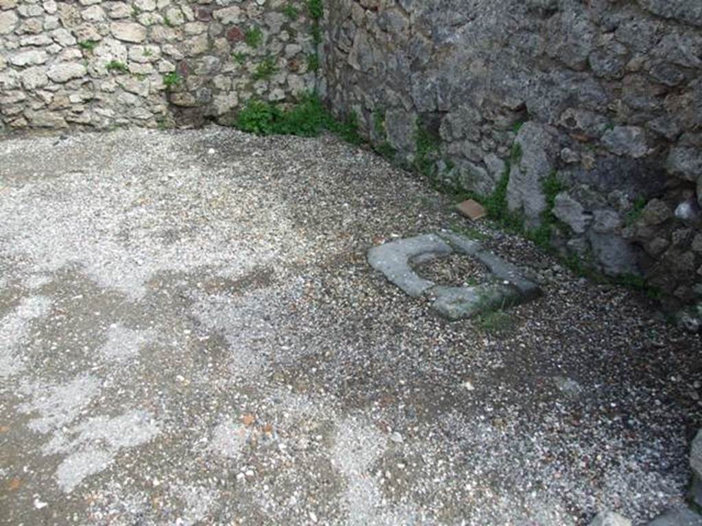 V.1.19 Pompeii. March 2009. Cistern mouth near south wall.
According to Van der Poel, this shop was bombed in 1943. The mouth of the well no longer existed in 1986, perhaps obstructed or destroyed during the bombing. See Van der Poel, H. B., 1986. Corpus Topographicum Pompeianum, Part IIIA. Austin: University of Texas. (p.70)
Garcia y Garcia also said the shop was partly damaged. The mouth of the cistern, also recorded by Viola, seemed to be closed since the bombing. See Garcia y Garcia, L., 2006. Danni di guerra a Pompei. Rome: L’Erma di Bretschneider. (p.62)