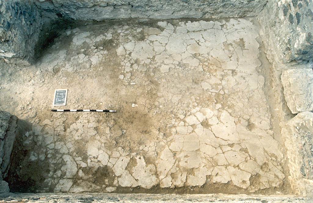 V.1.20 Pompeii. c.2001. Room “b”.
Looking towards flooring in rear room, from south side. Photo by Henrik Boman.
Photo courtesy of The Swedish Pompeii Project.