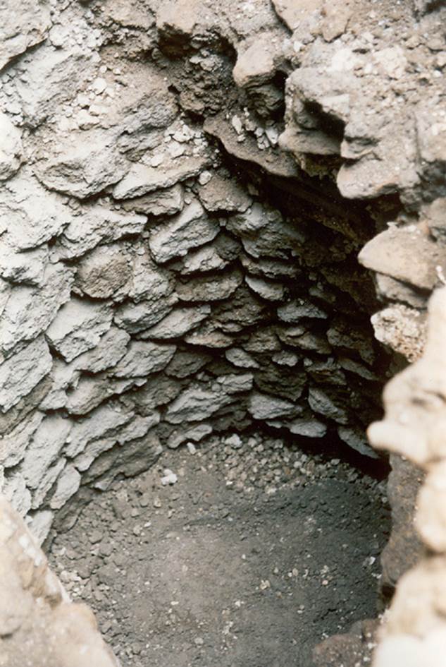 V.1.20 Pompeii. Pre 2008. Room “d”.
Cess pit under latrine in south-east corner of kitchen.
Photo by Henrik Boman.