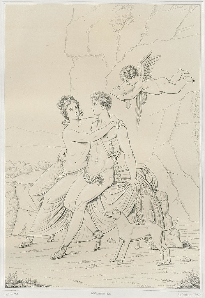 V.1.26 Pompeii. Room "t", south wall painting of Mars and Venus. 
According to Niccolini –
this was the painting from the south wall, which was found 10th July 1873, facing Tav. XXVI [Narcissus] in a triclinium.
According to Niccolini –
“This painting shows Venus contentedly embracing Mars, which suggests that he is in the act of leaving her as Cupid upright in the air, offers him his helmet.
The action was seen at the foot of a cliff, where was also seen a dog, a symbol of loyalty.”
See Niccolini, F. Le Case ed i Monumenti di Pompei. 1862. Book 2. Napoli, Descrizione Generale, Tav. XXIV. 
