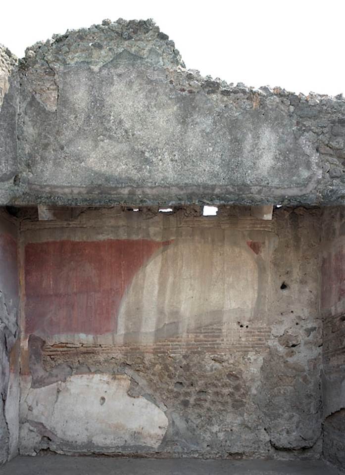V.1.31 Pompeii. c.2009.
South wall of rear room 2. Photo by Hans Thorwid.
Photo courtesy of The Swedish Pompeii Project.