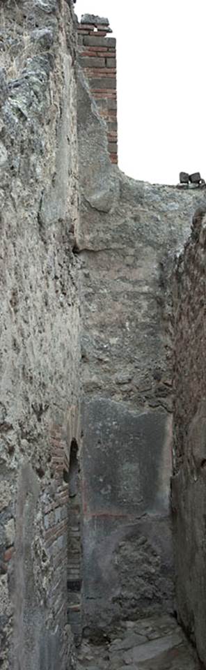 V.1.31 Pompeii. c.2010.
East wall of room 3, corridor. Photo by Hans Thorwid.
Photo courtesy of The Swedish Pompeii Project.