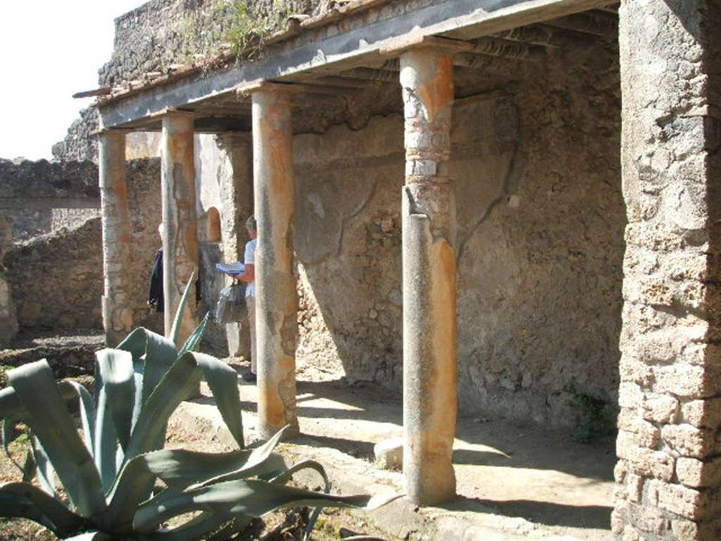 V.2.4 Pompeii. May 2005. West portico of peristyle.