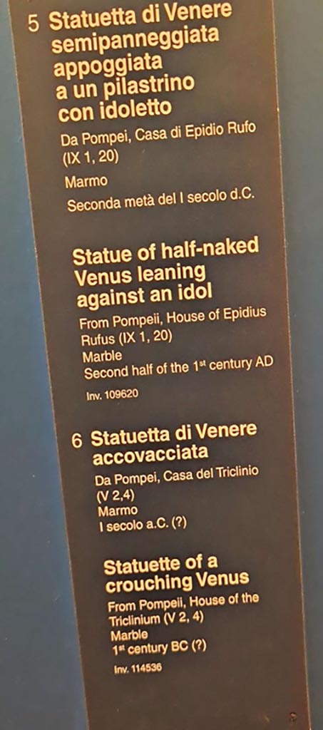 V.2.4 Pompeii. October 2023.
Description card (no. 6) for crouching Venus, inv. 114536. Photo courtesy of Giuseppe Ciaramella.
