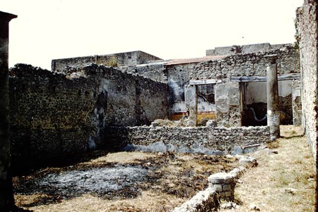 V.2.10 Pompeii. 1961. Looking north-west across peristyle. Photo by Stanley A. Jashemski.
Source: The Wilhelmina and Stanley A. Jashemski archive in the University of Maryland Library, Special Collections (See collection page) and made available under the Creative Commons Attribution-Non Commercial License v.4. See Licence and use details.
J61f0861