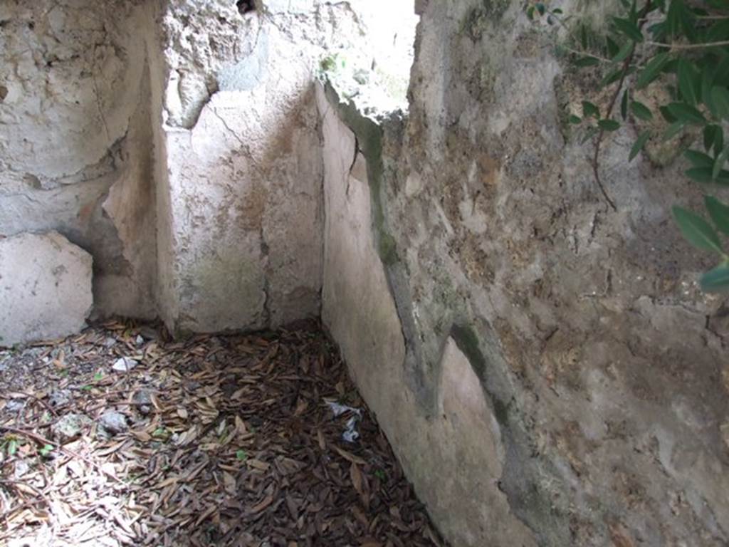 V.2.15 Pompeii. March 2009. Room 7, South west corner.