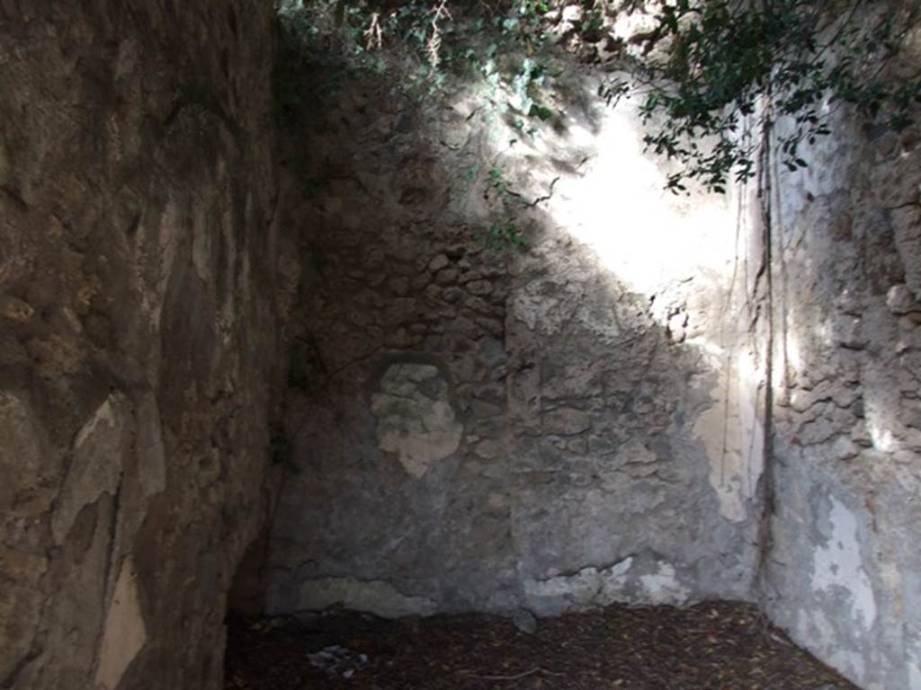 V.2.15 Pompeii. December 2007. Room 7a, looking north into the spacious cubiculum.
According to NdS, found on the west wall above the coarse plaster was the graffito, written in large letters:
NON PO
See Notizie degli Scavi, 1896, (p.439)