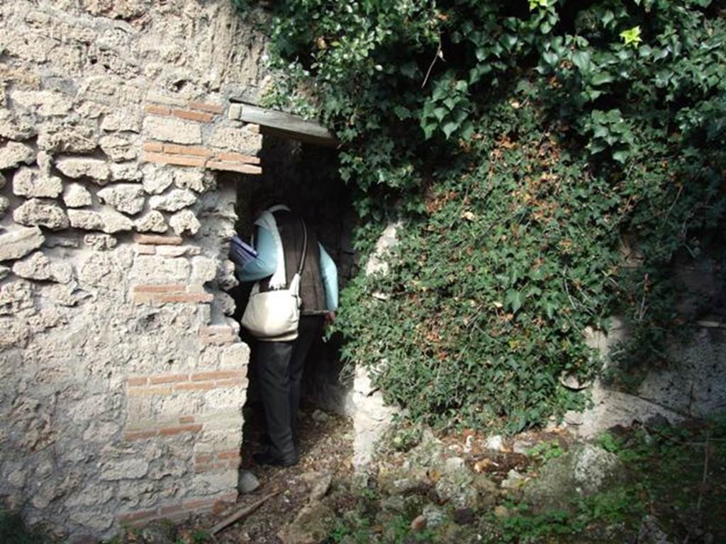 V.2.15 Pompeii. December 2007. Doorway leading to a corridor 11a, leading to another peristyle, at rear. The Notizie degli Scavi refers to a passage leading to a second peristyle.
See Notizie degli Scavi di Antichità, 1896, page 439.