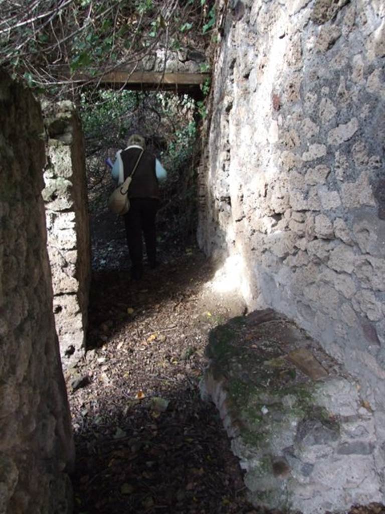 V.2.15 Pompeii. December 2007. Looking north along corridor, 11a. On the left is the doorway to room 11b.
Following the 2018 excavations at the rear of where the figure is standing is now considered to be the Casa di Orione with a separate entrance from the Vicolo dei Balconi.
It is considered to be one house with two entrances and two names.