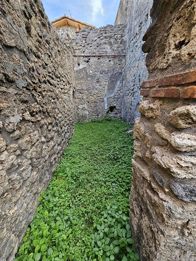 V.2.b Pompeii. November 2024.
Looking east through doorway from room “c”, and into room “d”. Photo courtesy of Annette Haug.