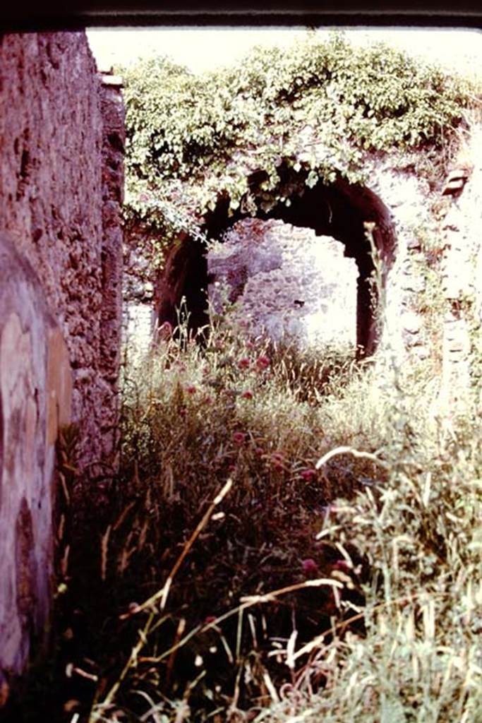 V.2.d Pompeii. 1978. Entrance corridor, looking east to atrium. The high zoccolo of the entrance vestibule would have been of cocciopesto and this would also have been seen on the exterior façade of the house. The remains of the painted panels of yellow and black can be seen on the left, these would have contained small paintings (vignettes), but are now illegible. Photo by Stanley A. Jashemski.
Source: The Wilhelmina and Stanley A. Jashemski archive in the University of Maryland Library, Special Collections (See collection page) and made available under the Creative Commons Attribution-Non Commercial License v.4. See Licence and use details. J78f0246