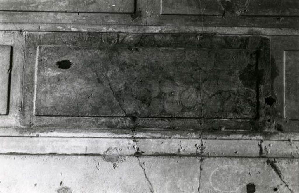 V.2.h Pompeii. 1980. Casa del Cenacolo, cubiculum g, detail of marbling on left E wall. Photo courtesy of Anne Laidlaw.
American Academy in Rome, Photographic Archive. Laidlaw collection _P_80_1_29.
