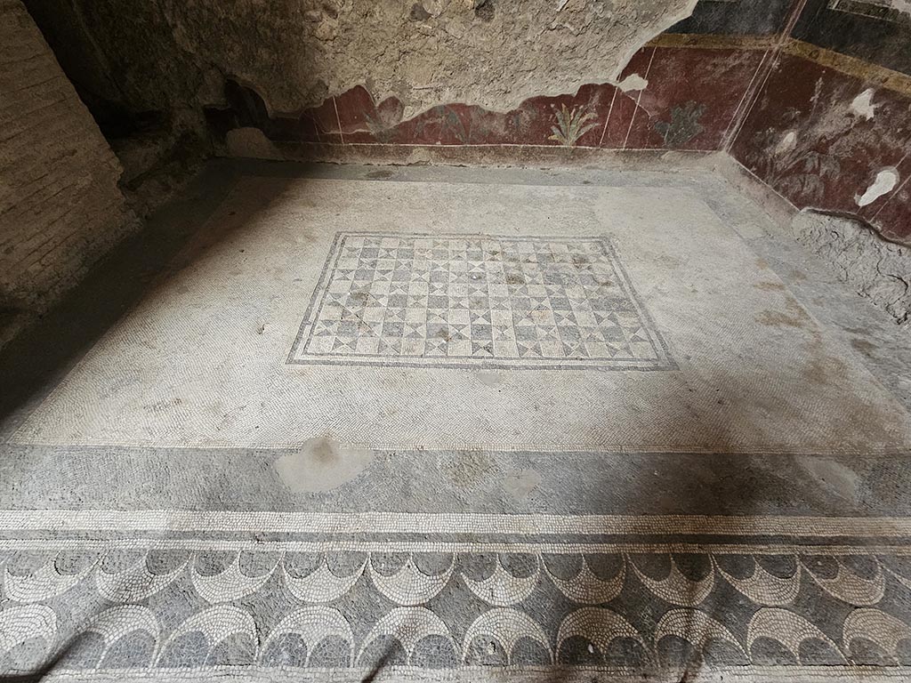 V.2.i Pompeii. November 2024. Room 5, mosaic flooring in ala. Photo courtesy of Annette Haug.