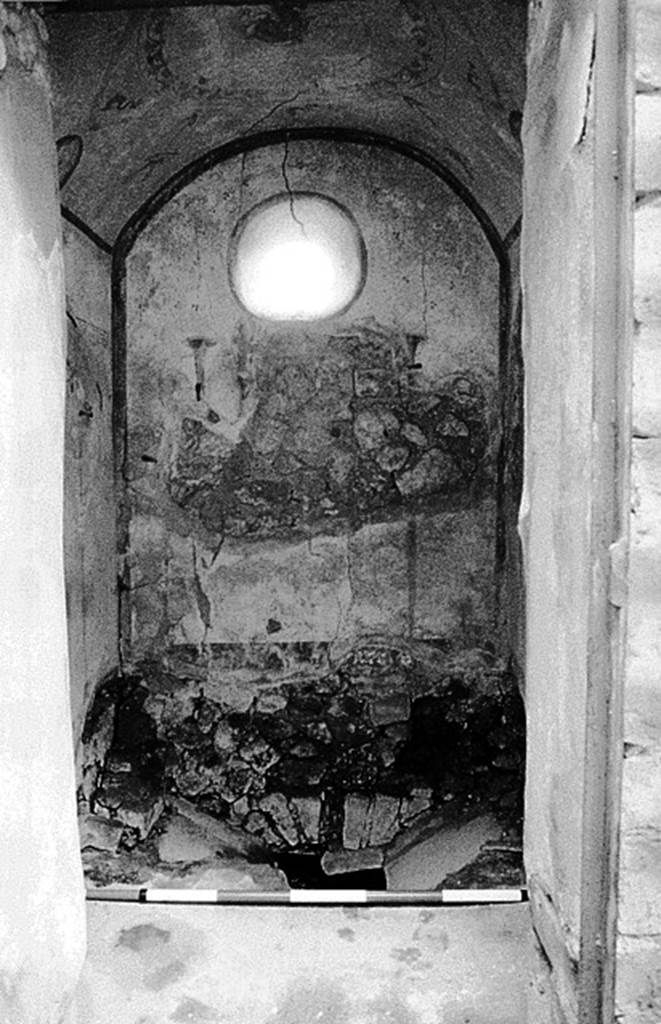 V.2.i Pompeii. Room 13, latrine showing painted walls and ceiling.
Joyce Agee, photographer, 1995. Courtesy of Dr Penelope M Allison from her web site Pompeian Households: An On-line Companion:
See http://www.stoa.org/projects/ph/home.
According to Hobson, pipe water was supplied to a small number of toilets. In this toilet a tap was attached in the wall (but no longer visible as the whole latrine room has collapsed).
See Hobson, B., 2009. Latrinae et foricae: Toilets in the Roman World. London; Duckworth. (p.123)