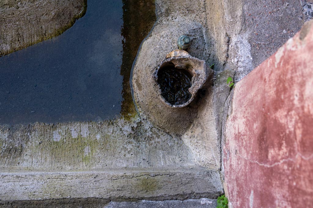 V.2.i Pompeii. January 2024. Room 23, detail from north-west corner of peristyle. Photo courtesy of Johannes Eber.