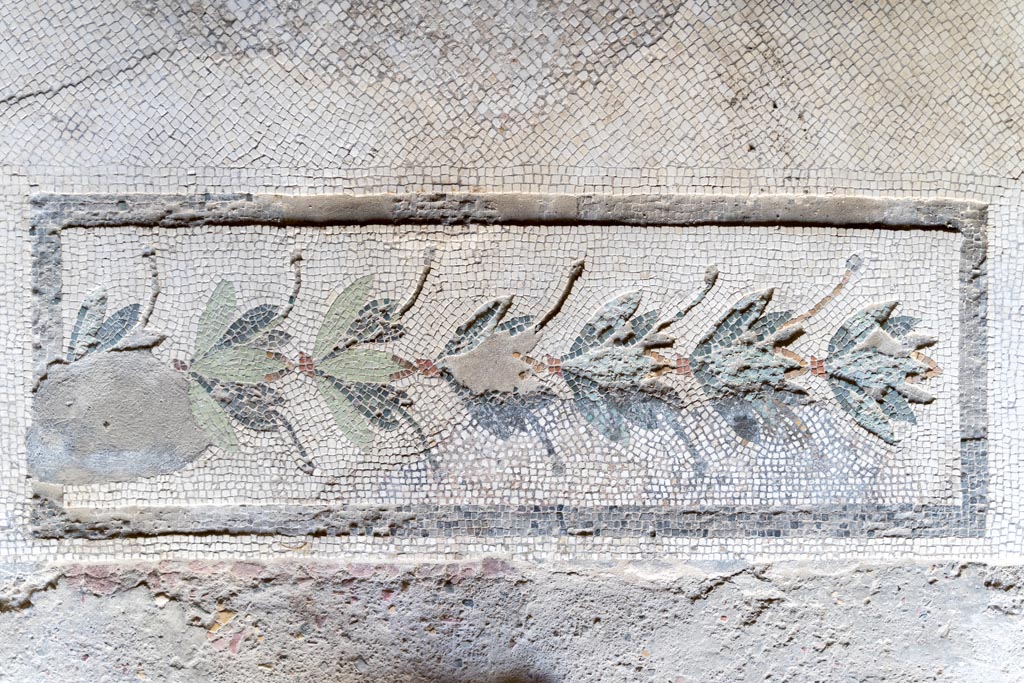 V.2.i Pompeii. March 2023. Room 20, mosaic door threshold. Photo courtesy of Johannes Eber.