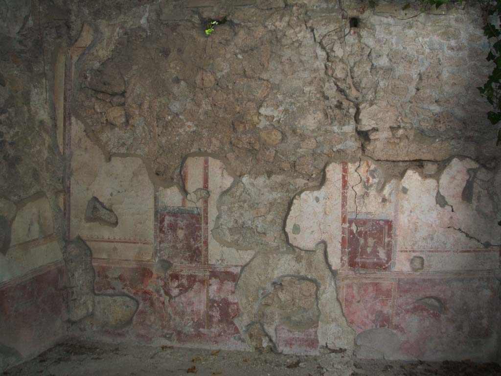 V.3.4 Pompeii, May 2005. Triclinium, west wall.
According to Sogliano, the walls were decorated with large panels on a white background.
Three panels were seen on each wall, they had a red lower plinth.
The upper frieze of the walls was decorated with a white background, and showed architectural motifs, arabesques, garlands, flying animals, etc.
At the very top they finished with a stucco cornice in relief decorated with small painted palms.
Found in the centre of the other preserved panels were flying cupids with various attributes.