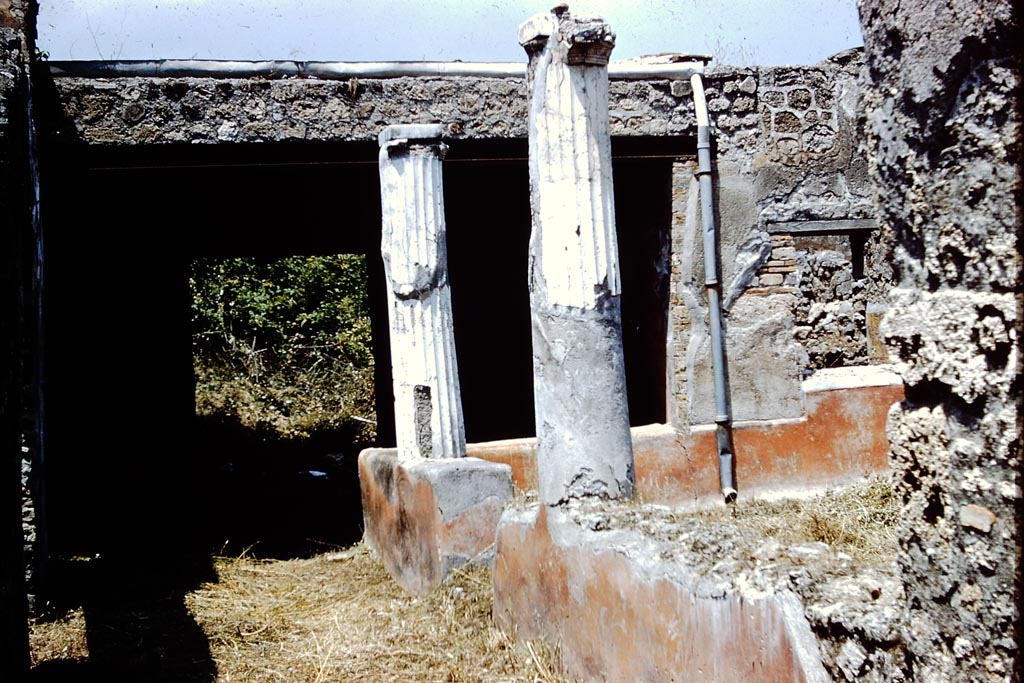 V.3.4 Pompeii. 1961. Looking north-east across portico area. Photo by Stanley A. Jashemski.
Source: The Wilhelmina and Stanley A. Jashemski archive in the University of Maryland Library, Special Collections (See collection page) and made available under the Creative Commons Attribution-Non Commercial License v.4. See Licence and use details.
J61f0853
According to Wilhelmina, the low wall around the garden had an entrance in the west wall, which was approximately 0.80m high.
It was decorated with plants and flying birds painted on a red background.
See Jashemski, W. F., 1993. The Gardens of Pompeii, Volume II: Appendices. New York: Caratzas. (p.114).