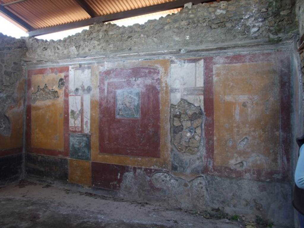 V.3.6 Pompeii. March 2009. Triclinium. West wall.