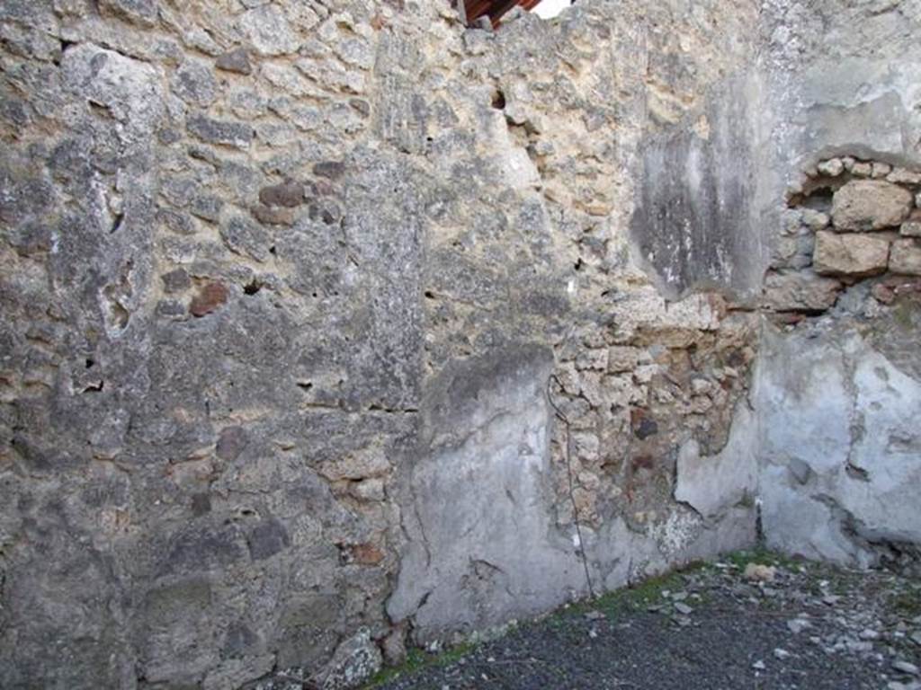 V.3.7 Pompeii. March 2009. Triclinium. West wall.