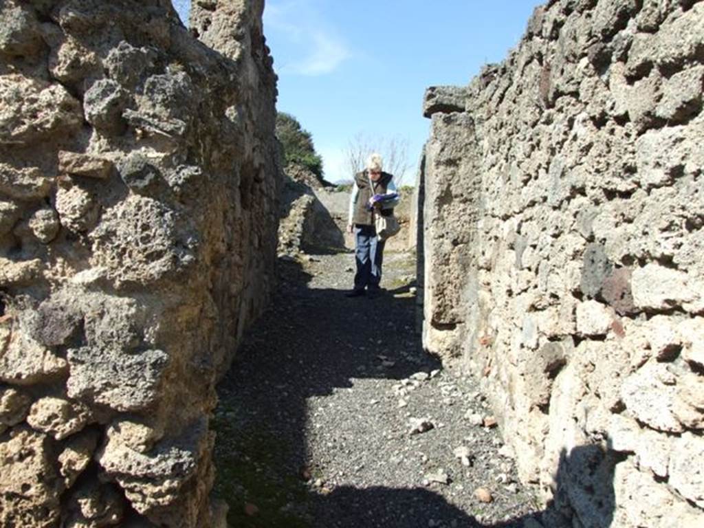 V.3.7 Pompeii. March 2009. Andron or passageway to Garden and Services area. Looking north.