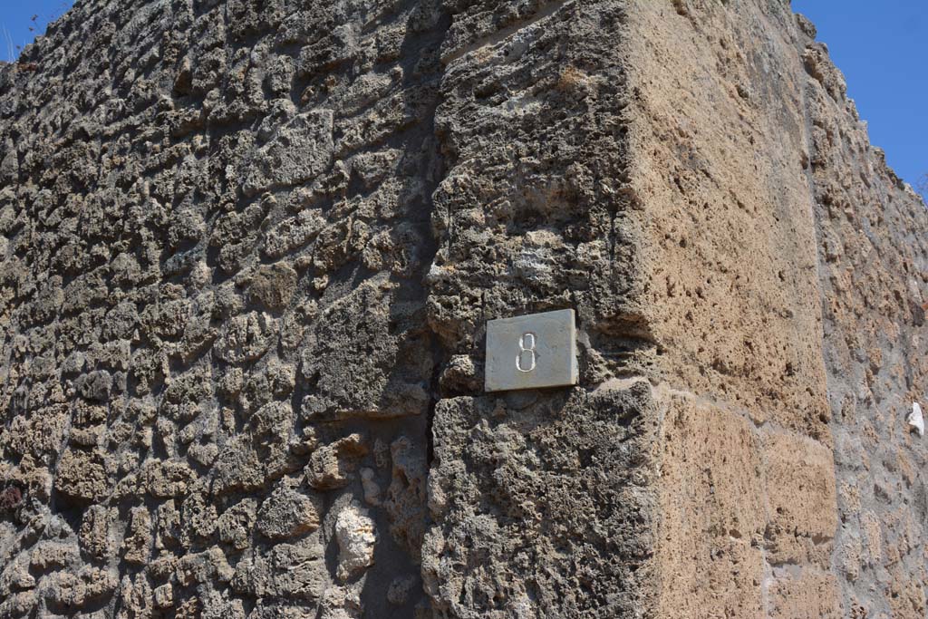 V.3.8 Pompeii. September 2019. East wall of entrance corridor.
Foto Annette Haug, ERC Grant 681269 DÉCOR.