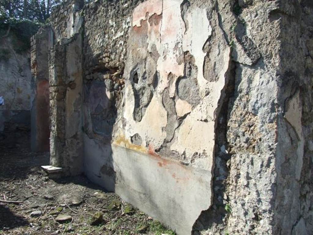 V.3.10 Pompeii. March 2009. North wall of tablinum.