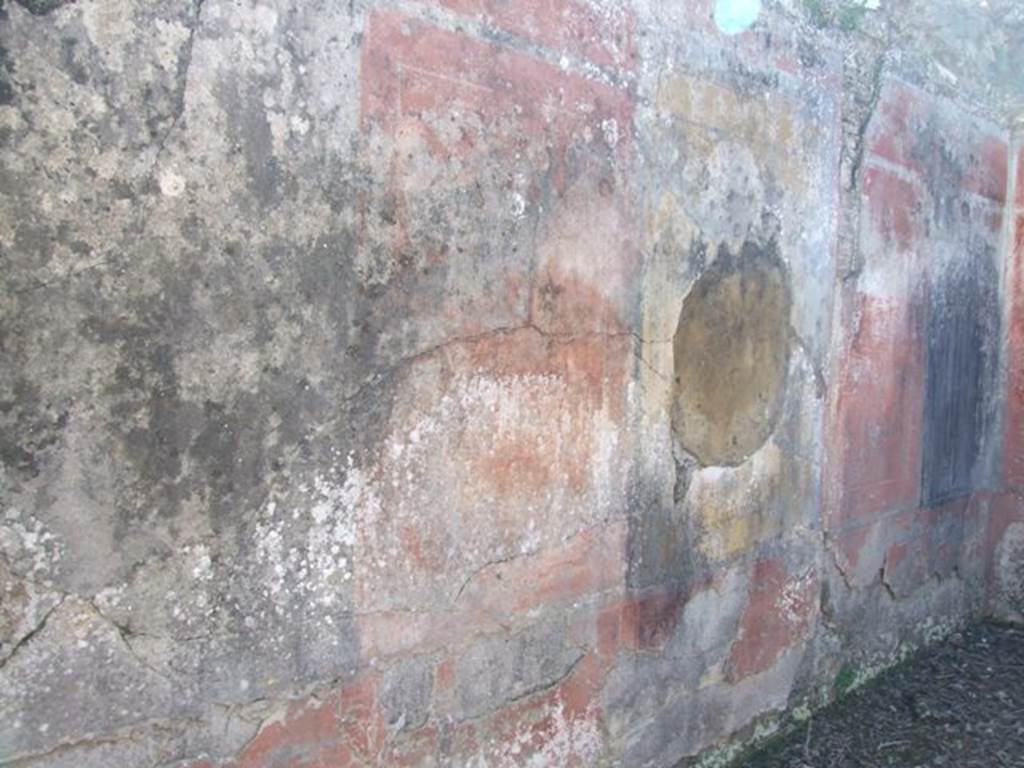V.3.10 Pompeii. March 2009. Cubiculum. South wall.