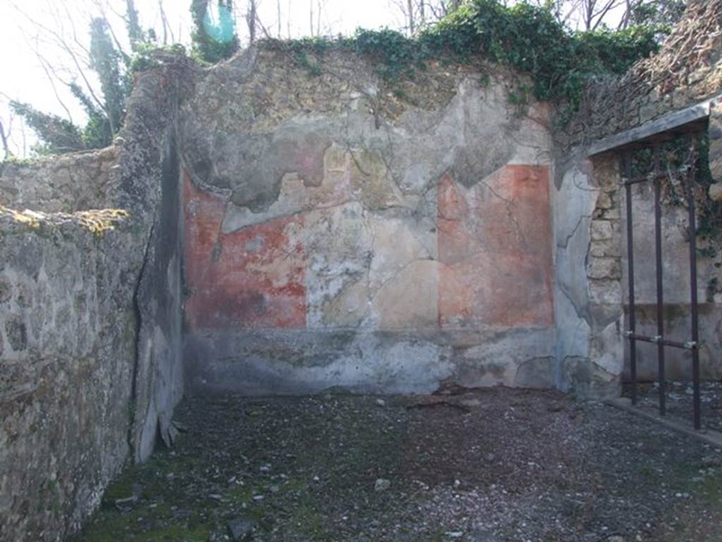 V.3.10 Pompeii. March 2009. Triclinium. West wall.