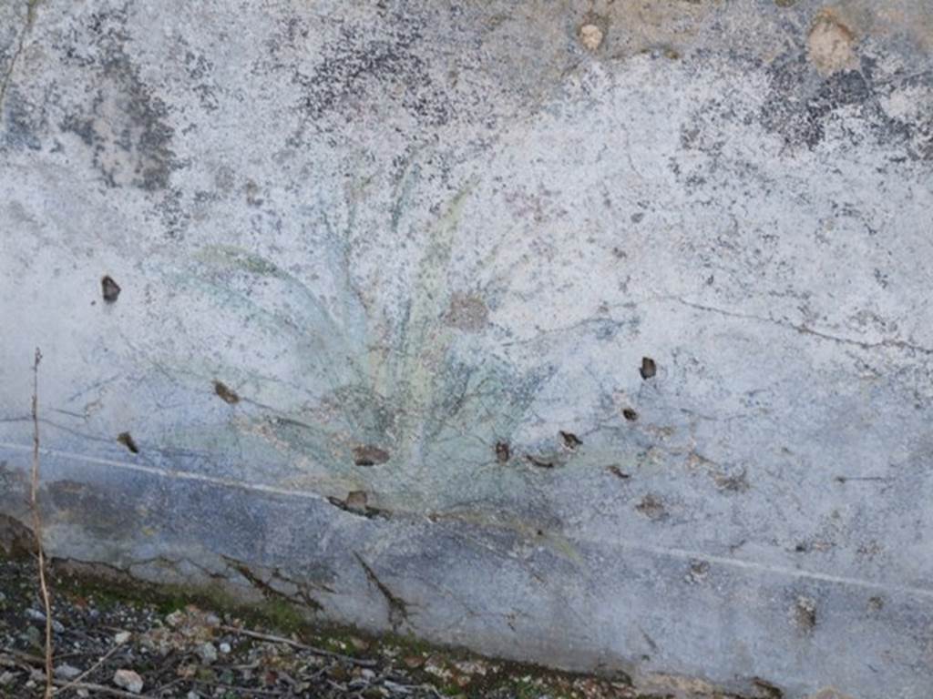 V.3.10 Pompeii. March 2009. West wall. Painted plants described as blue Iris and Cactus. See Warscher, T., 1925. Pompeji: Ein Führer durch die Ruinen. Berlin und Leipzig: de Gruyter, p 125 .