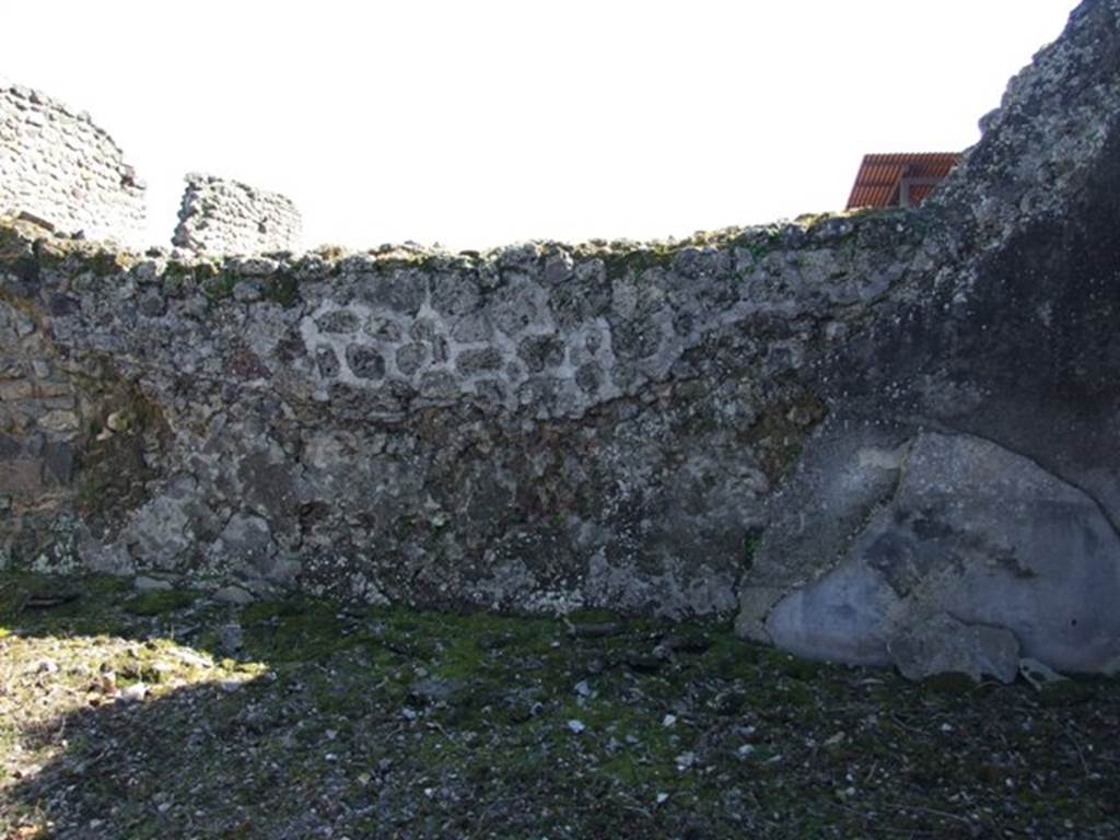 V.3.10 Pompeii. March 2009. Triclinium. South wall.