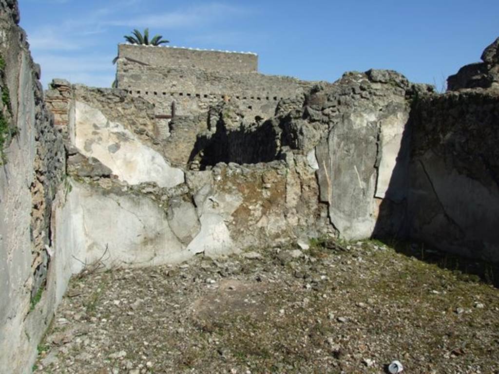 V.3.10 Pompeii. March 2009. Triclinium. East wall.