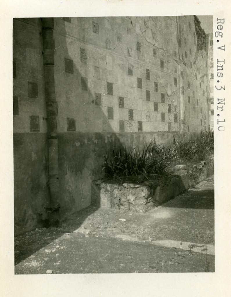 V.3.10 Pompeii. Pre-1937-39. Looking towards west wall and narrow raised planting bed built against the wall of the garden.
Photo courtesy of American Academy in Rome, Photographic Archive. Warsher collection no. 690.