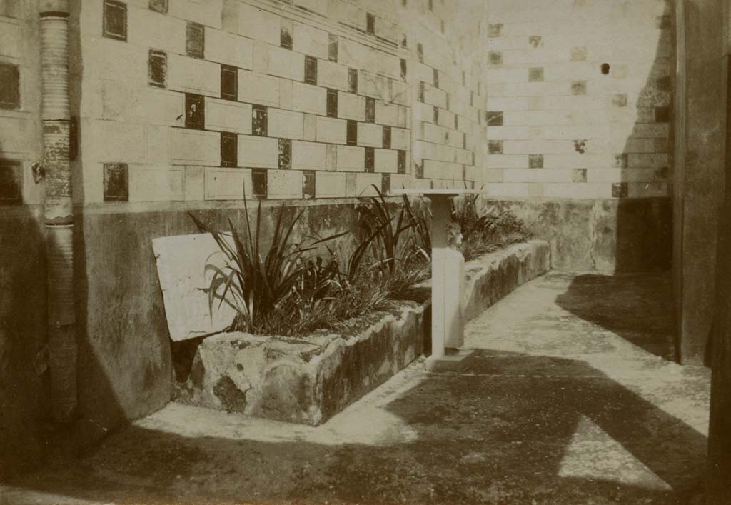 V.3.10 Pompeii. 1903. Looking north along raised narrow planting bed in garden area.
Photo by Esther Boise Van Deman (c) American Academy in Rome. VD_Archive_Ph_215.