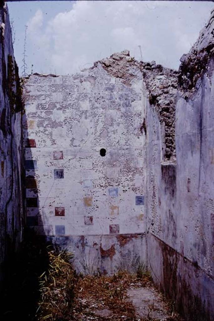 V.3.10 Pompeii. 1964. Looking towards north-east corner. Photo by Stanley A. Jashemski.
Source: The Wilhelmina and Stanley A. Jashemski archive in the University of Maryland Library, Special Collections (See collection page) and made available under the Creative Commons Attribution-Non Commercial License v.4. See Licence and use details.
J64f1860