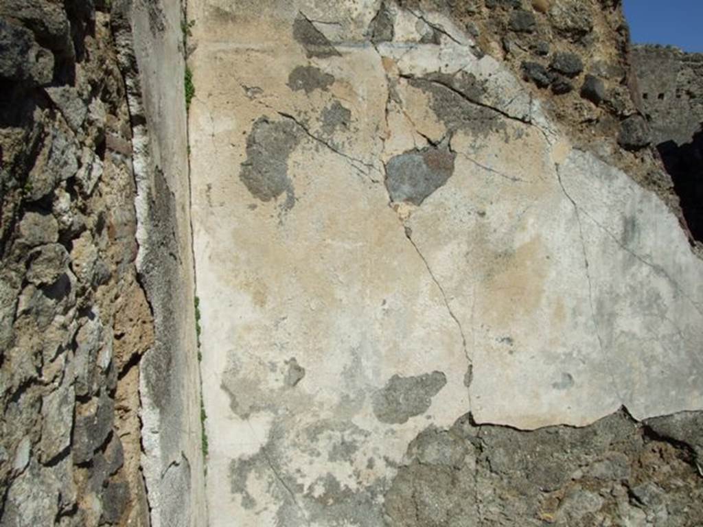 V.3.10 Pompeii. March 2009. Cubiculum. East wall.