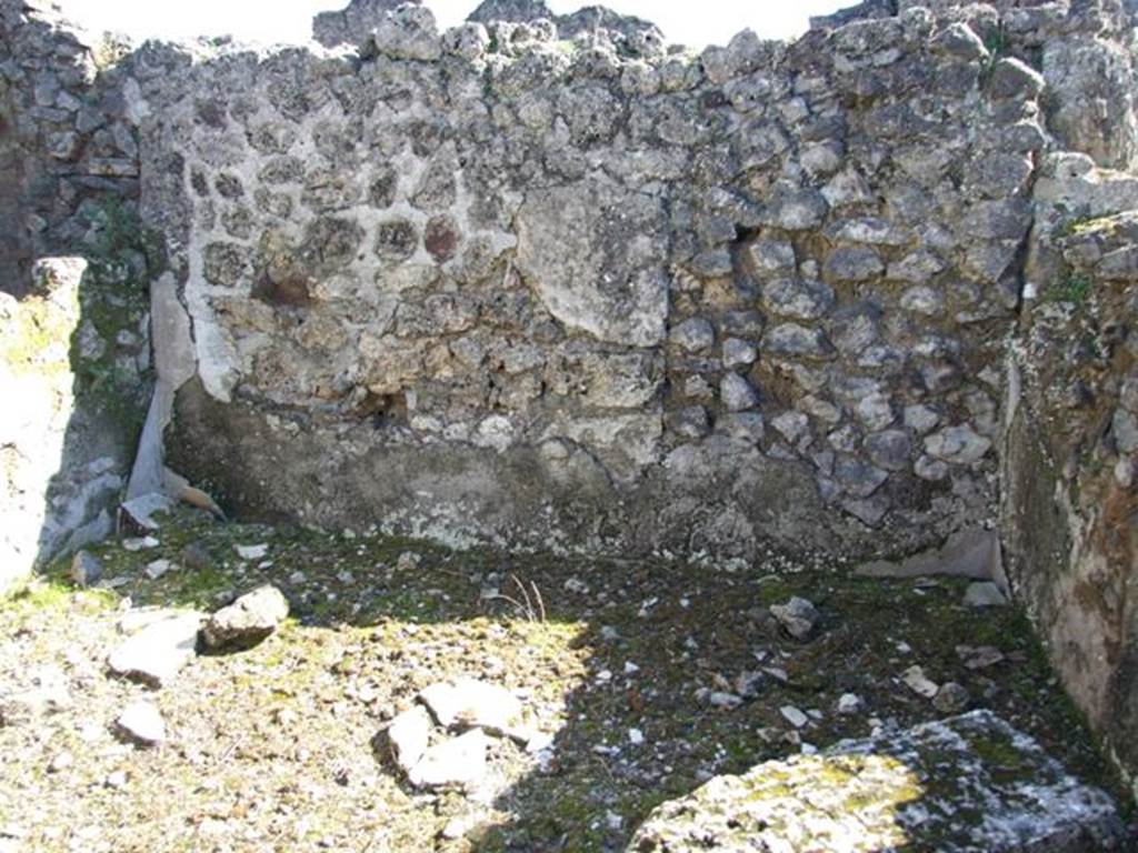 V.3.10 Pompeii. March 2009. Cubiculum. South wall.