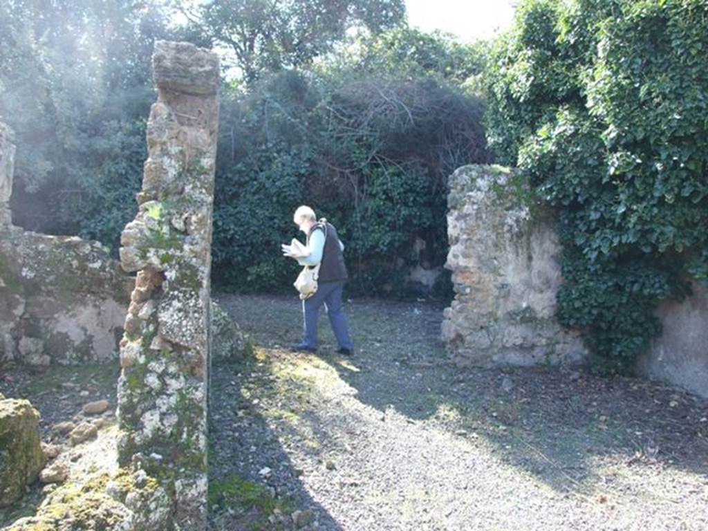 V.3.11 Pompeii. March 2009. Looking west across tablinum to entrance to garden area.
The entire width of the tablinum was opened onto the atrium. The floor was made of opus signinum with a mixture of marble fragments. The painted dado imitated precious marbles with large yellow circles inscribed between squares of different marbles. Above were white panels divided by leafy green stems coloured bronze. In the centre of the north wall was a painting of a plate of fruit. On both sides were two small landscapes, hardly preserved, with figures in yellow. In that on the right, one could see a man getting on his donkey, and another racing behind on foot. On the north side of the west wall was another similar landscape, and a painting of two pheasants, one suspended by a thread that pierced the beak, the other lying down. In the south-west corner was a landscape which contained a cactus plant. In this area, the walls showed traces of redness and partial blackening due to fire. In the south wall, but not decorated, was a niche. Found in this room on the 5th May was a bronze pot, and on 6th May, remains of iron fixings and hinges of bone from a destroyed box. See Notizie degli Scavi, 1902, (p.371-2)