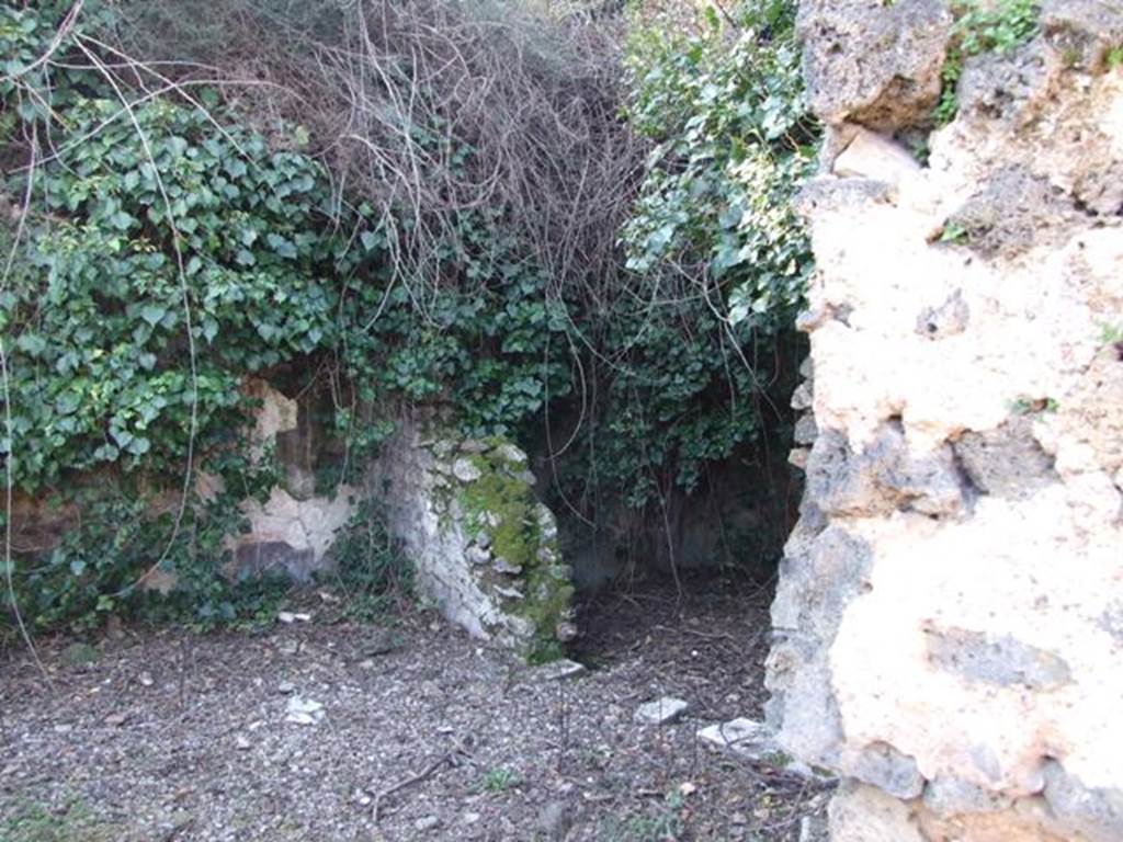 V.3.11 Pompeii. March 2009. North west corner of Garden with remains of painted plaster, and Doorway to Garden Room.