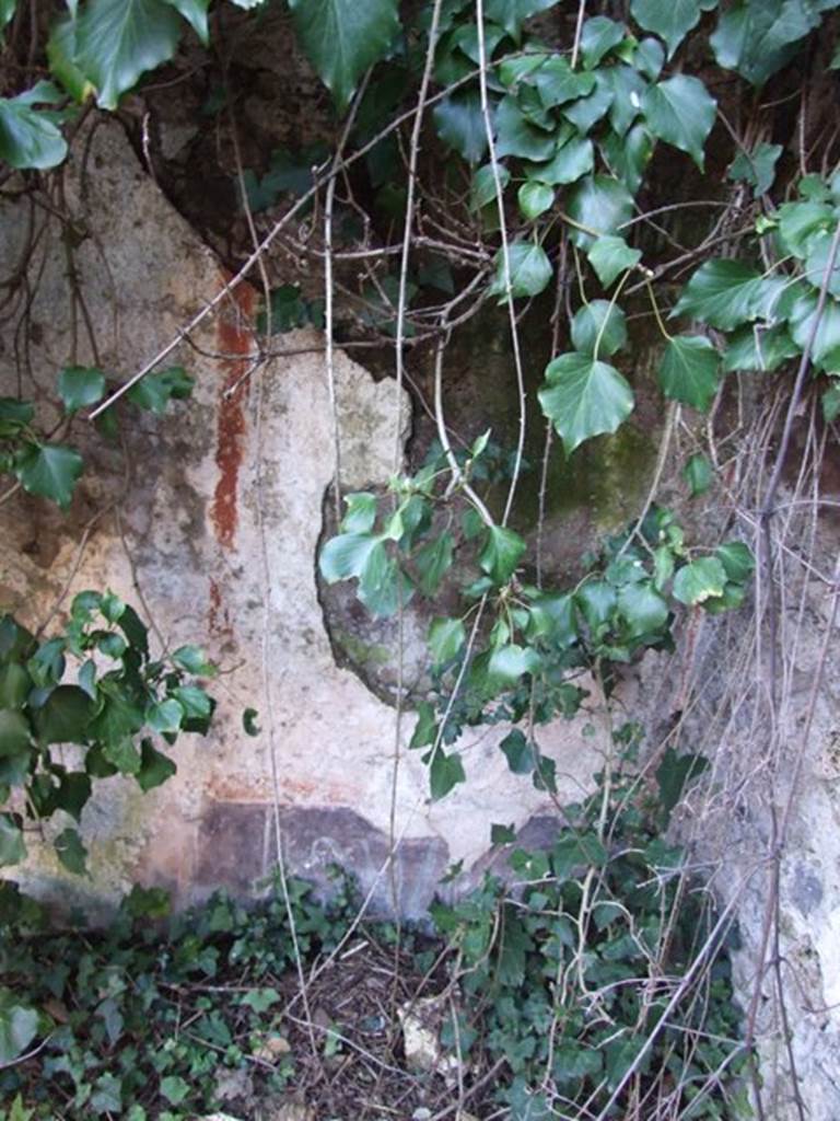V.3.11 Pompeii. March 2009. North west corner of garden. Painted plaster.