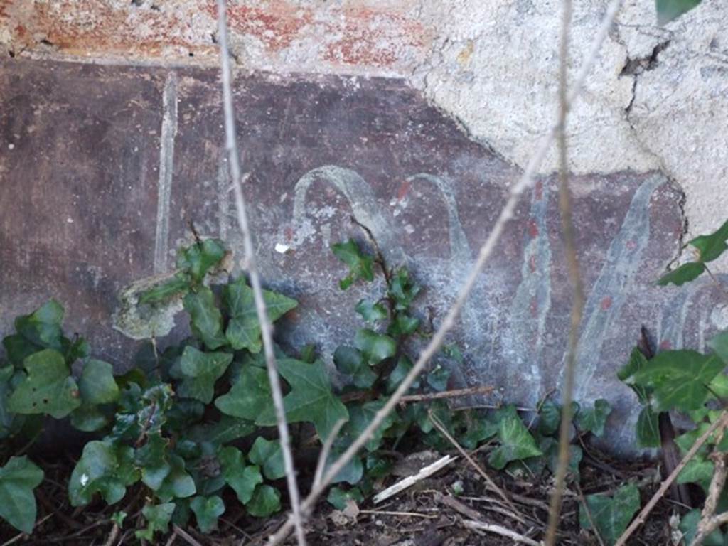 V.3.11 Pompeii. March 2009. North west corner of Garden. Painted plants.